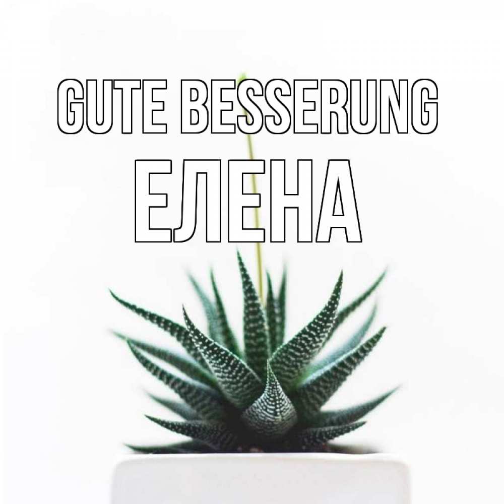 Открытка на каждый день с именем, Елена Gute Besserung короче это непонятная колючка Прикольная открытка с пожеланием онлайн скачать бесплатно 