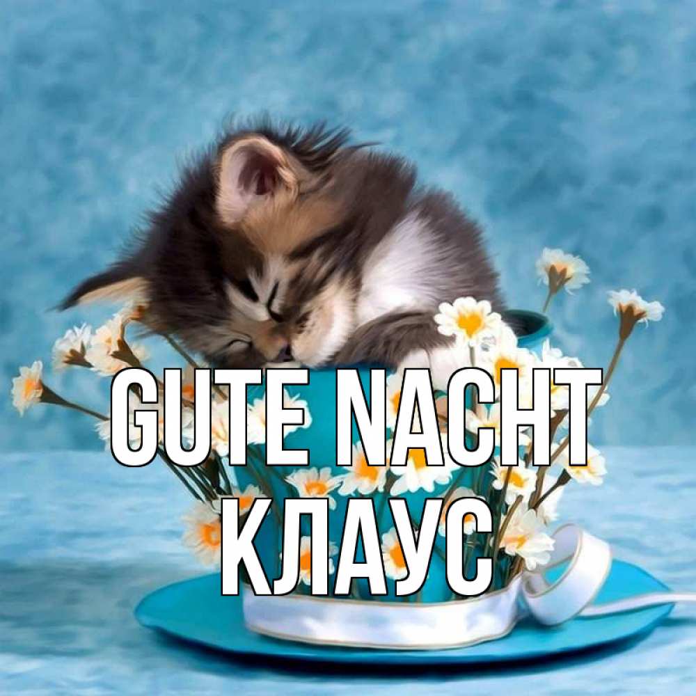 Открытка на каждый день с именем, Клаус Gute Nacht котенок спит в кружке с блюдцем Прикольная открытка с пожеланием онлайн скачать бесплатно 