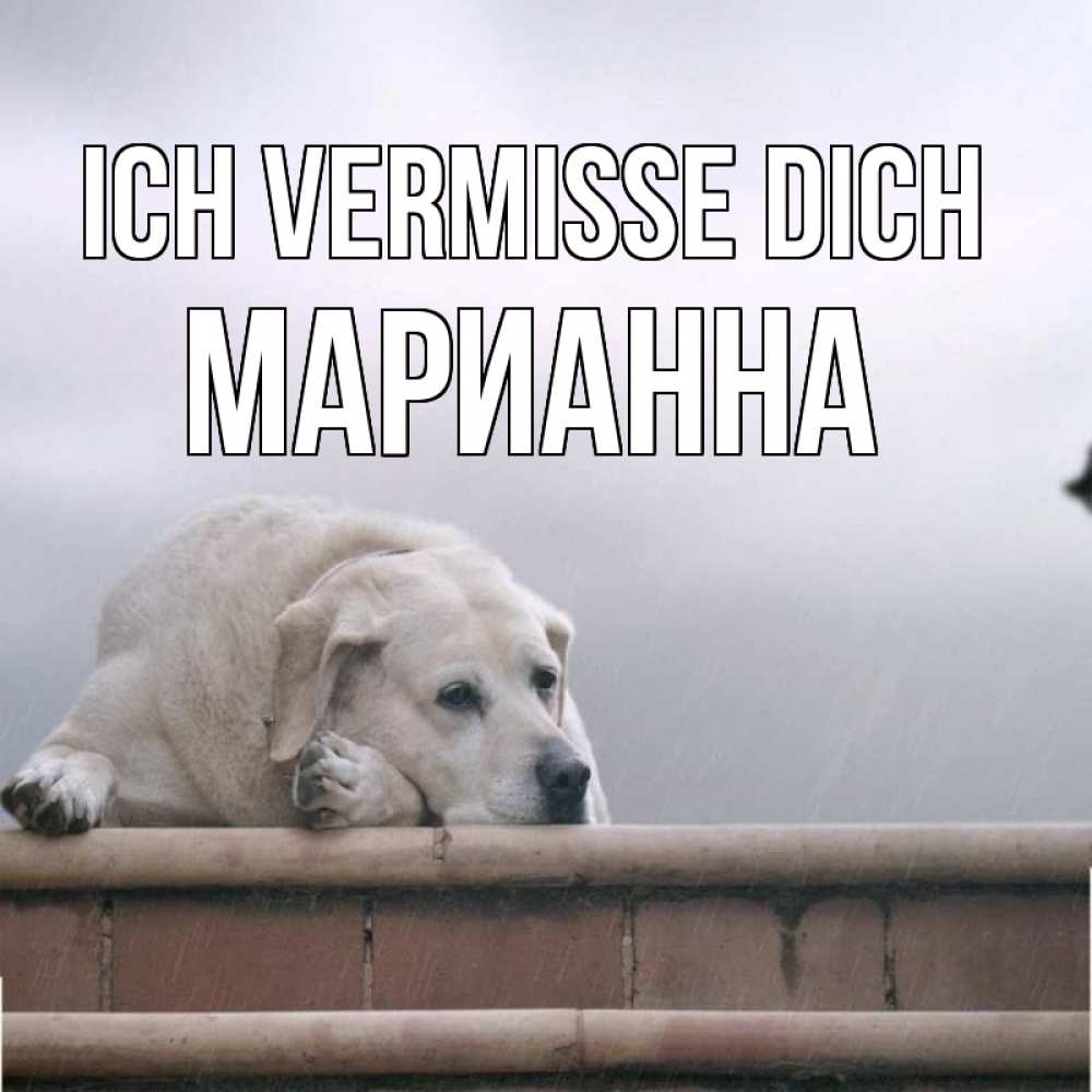 Открытка на каждый день с именем, Марианна Ich vermisse dich ждет Прикольная открытка с пожеланием онлайн скачать бесплатно 