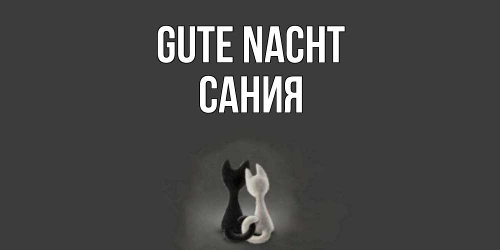 Открытка на каждый день с именем, Сания Gute Nacht коты Прикольная открытка с пожеланием онлайн скачать бесплатно 