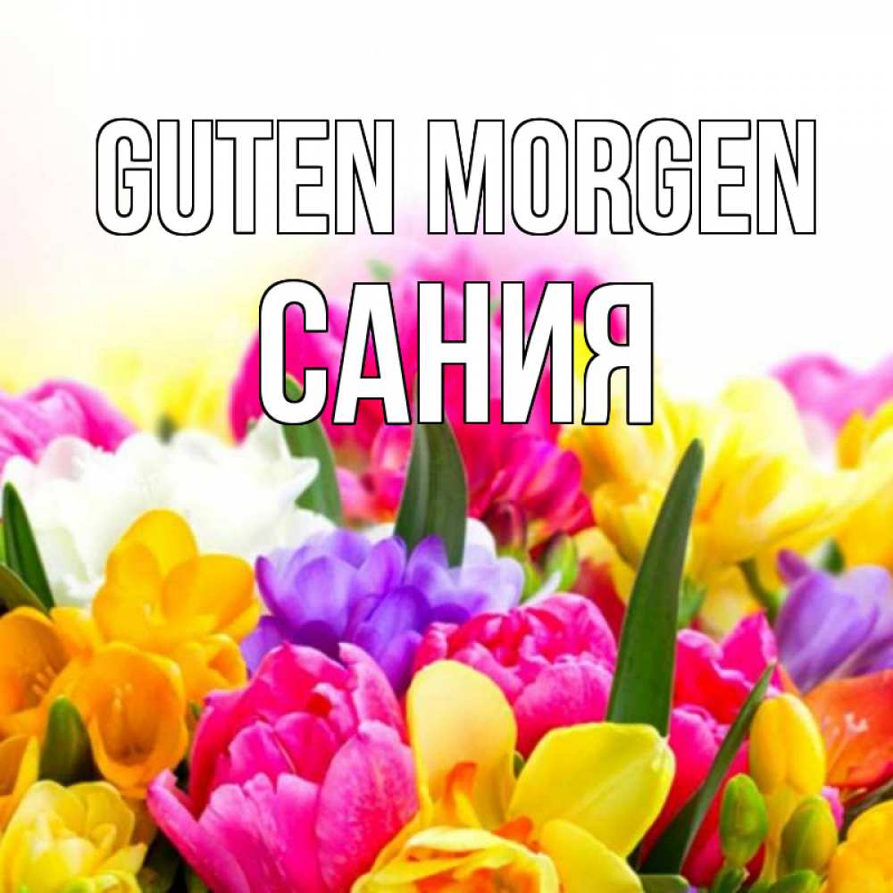Открытка на каждый день с именем, Сания Guten Morgen создать открытку со свое подписью Прикольная открытка с пожеланием онлайн скачать бесплатно 
