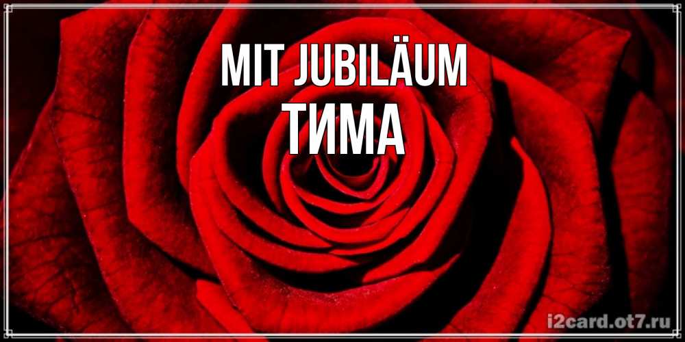 Открытка на каждый день с именем, Тима Mit Jubiläum алая роза Прикольная открытка с пожеланием онлайн скачать бесплатно 