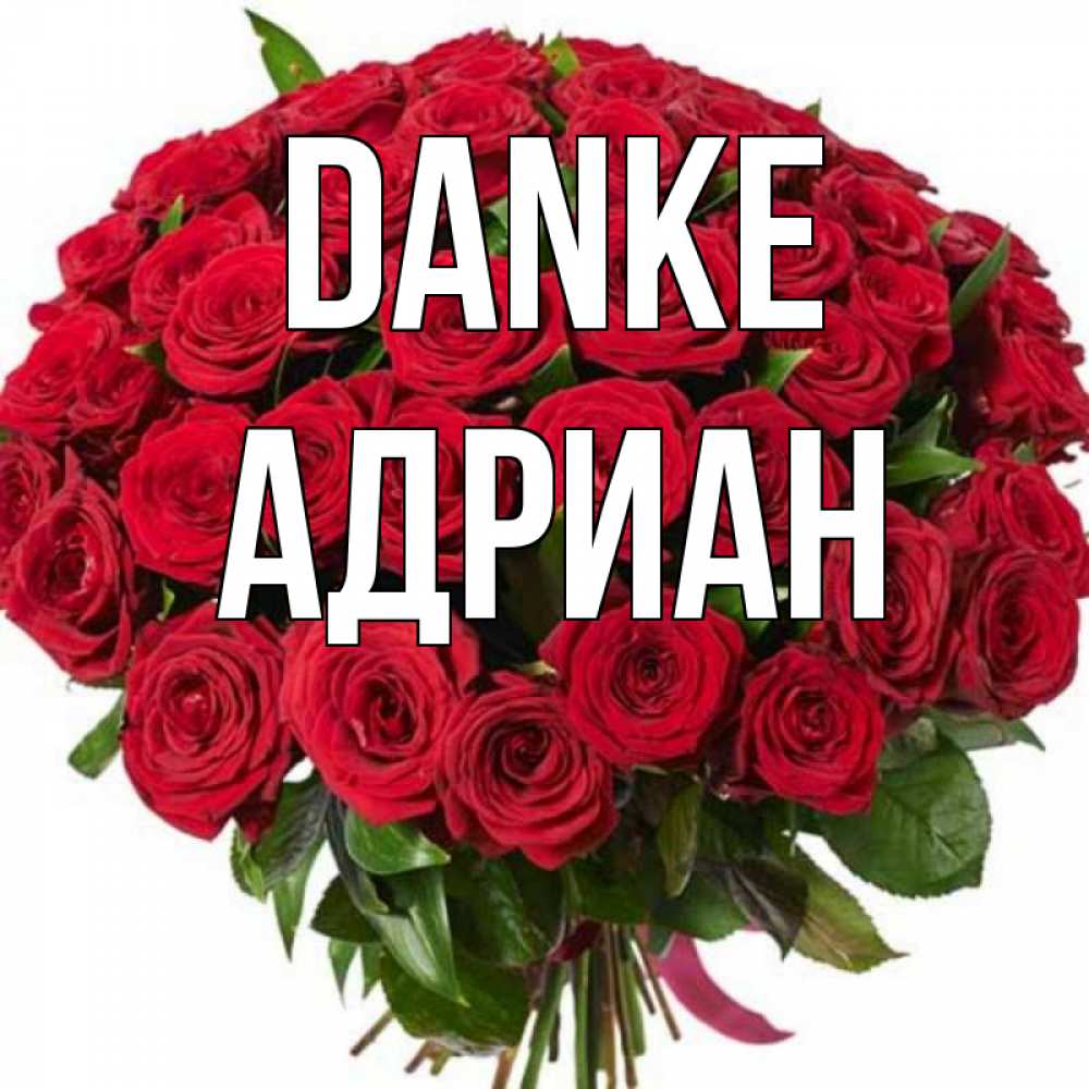 Открытка на каждый день с именем, Адриан Danke букет красных роз Прикольная открытка с пожеланием онлайн скачать бесплатно 