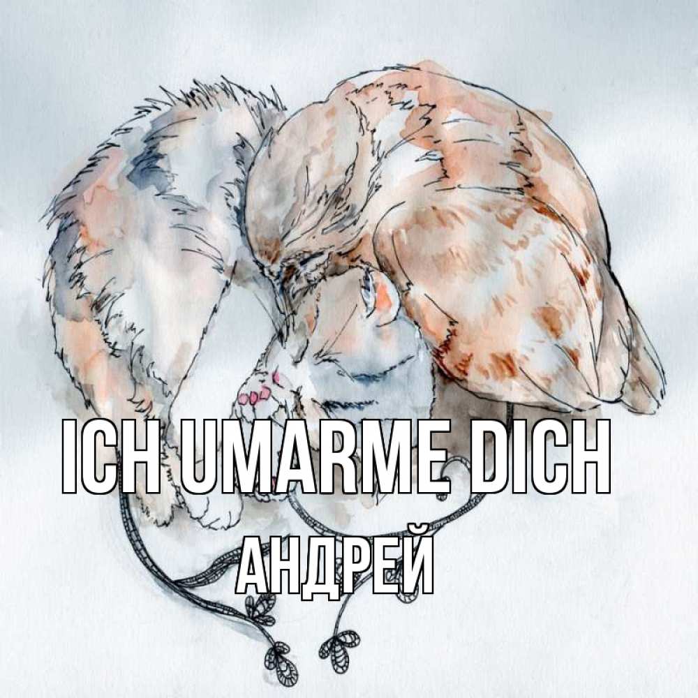 Открытка на каждый день с именем, Андрей Ich umarme dich можно быть вместе даже когда очень разные Прикольная открытка с пожеланием онлайн скачать бесплатно 