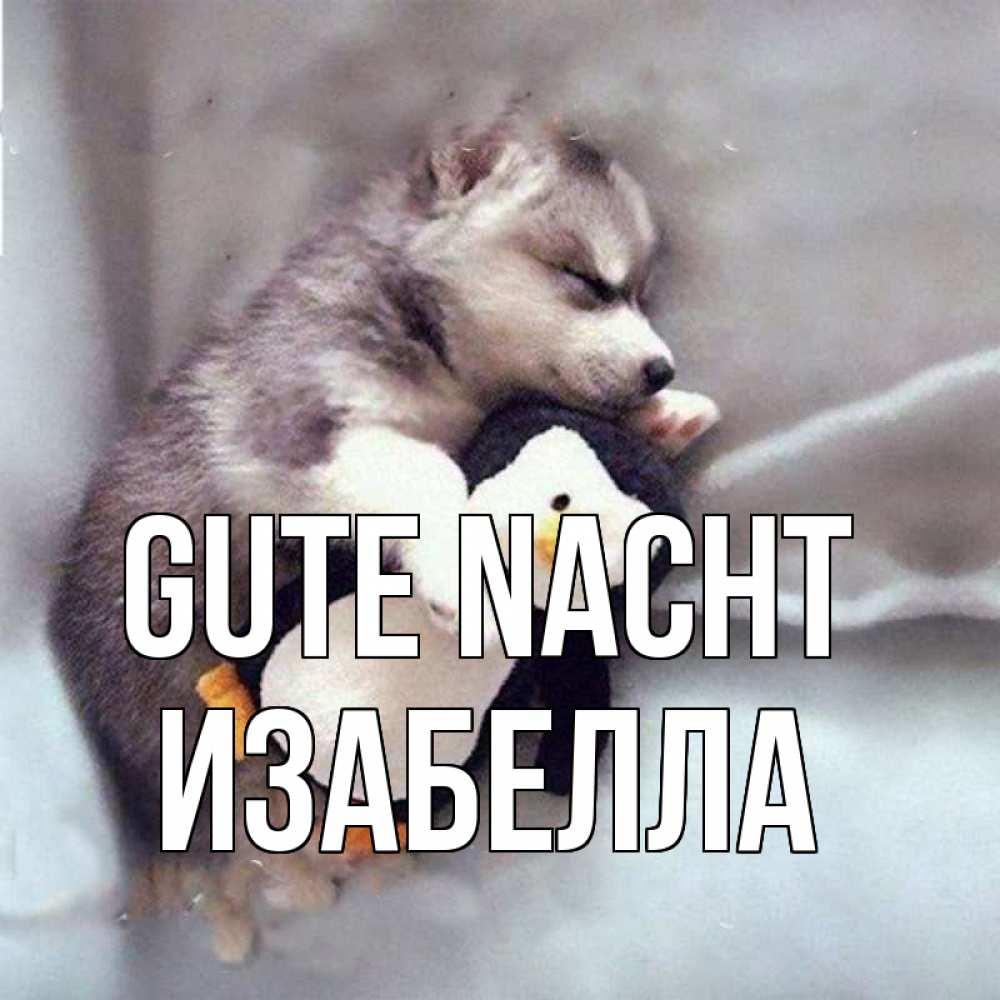 Открытка на каждый день с именем, Изабелла Gute Nacht обнимашки щенка и пингвина Прикольная открытка с пожеланием онлайн скачать бесплатно 