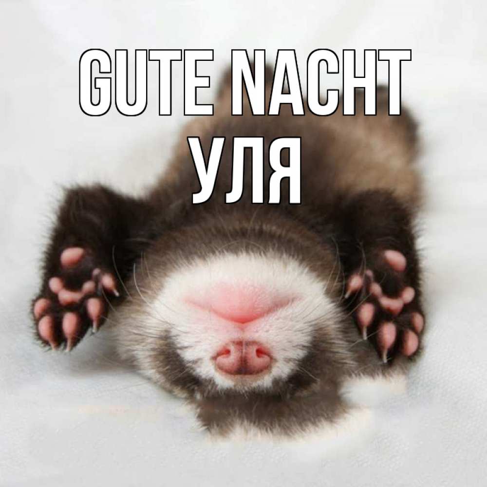 Открытка на каждый день с именем, Уля Gute Nacht зверек Прикольная открытка с пожеланием онлайн скачать бесплатно 