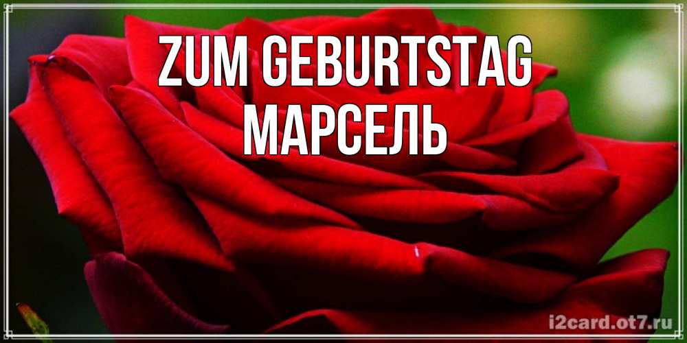 Открытка на каждый день с именем, Марсель Zum Geburtstag розочка очень красивая Прикольная открытка с пожеланием онлайн скачать бесплатно 