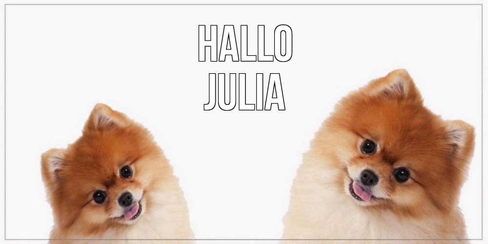 Открытка на каждый день с именем, Julia Hallo привет Прикольная открытка с пожеланием онлайн скачать бесплатно 