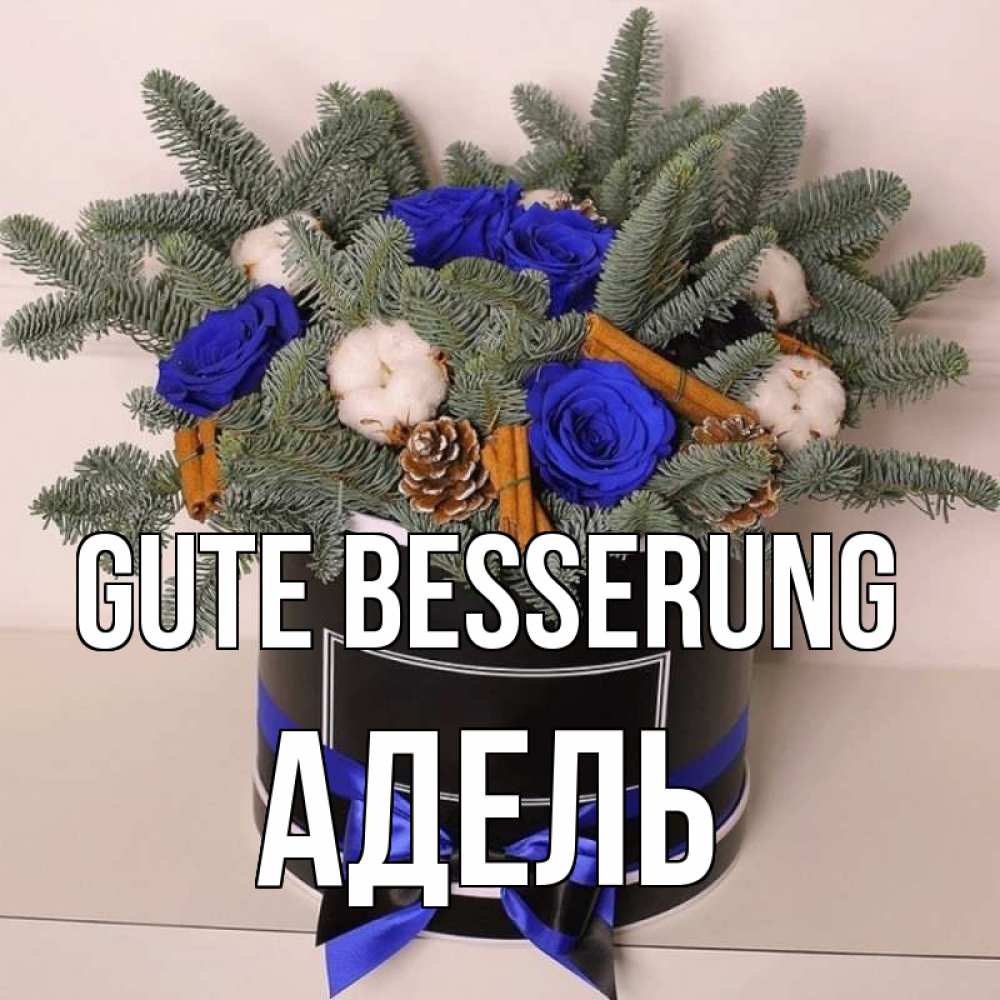 Открытка на каждый день с именем, Адель Gute Besserung короче кто то загрузил эти шишки Прикольная открытка с пожеланием онлайн скачать бесплатно 