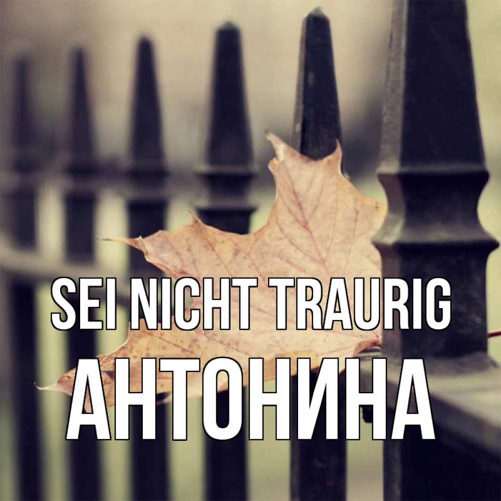 Открытка на каждый день с именем, Антонина Sei nicht traurig лист клена Прикольная открытка с пожеланием онлайн скачать бесплатно 