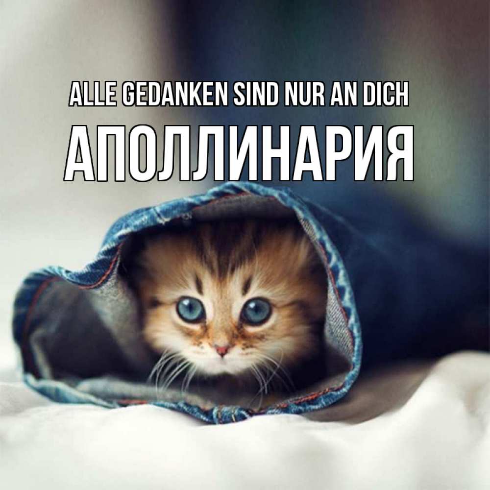 Открытка на каждый день с именем, Аполлинария Alle Gedanken sind nur an dich мне без тебя плохо Прикольная открытка с пожеланием онлайн скачать бесплатно 