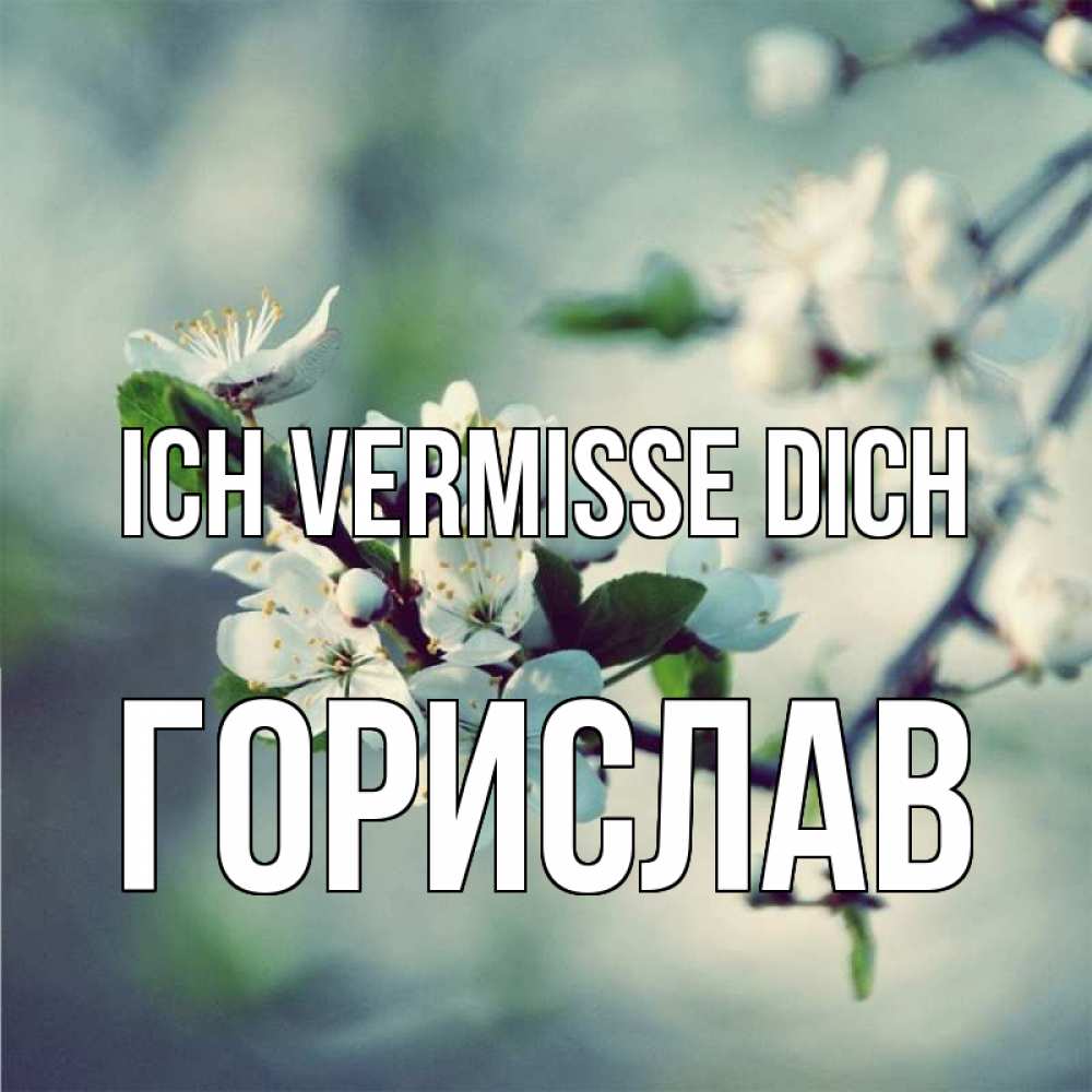 Открытка на каждый день с именем, Горислав Ich vermisse dich весна Прикольная открытка с пожеланием онлайн скачать бесплатно 