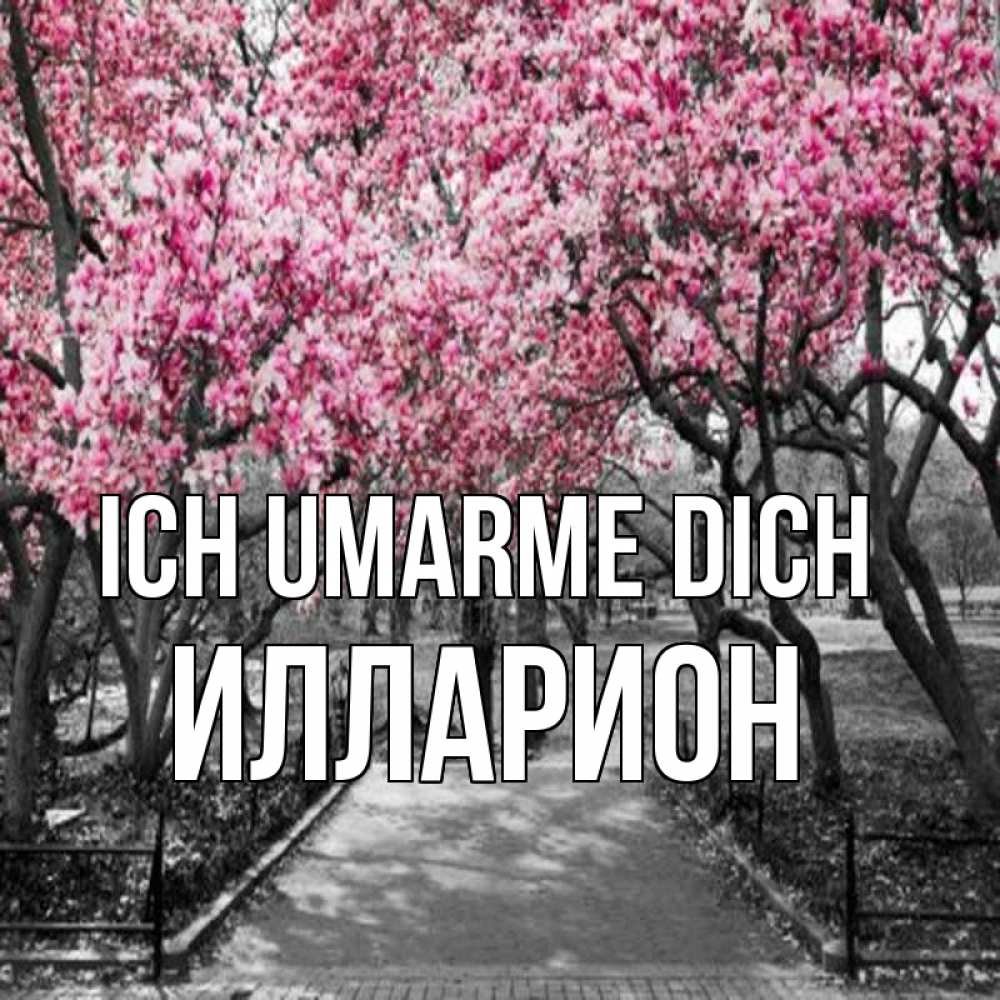 Открытка на каждый день с именем, Илларион Ich umarme dich обработанное фото Прикольная открытка с пожеланием онлайн скачать бесплатно 