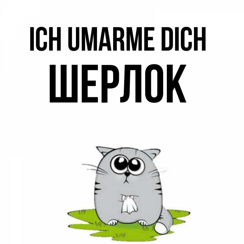 Открытка на каждый день с именем, Шерлок Ich umarme dich котик теребит платочек сидя на травке Прикольная открытка с пожеланием онлайн скачать бесплатно 