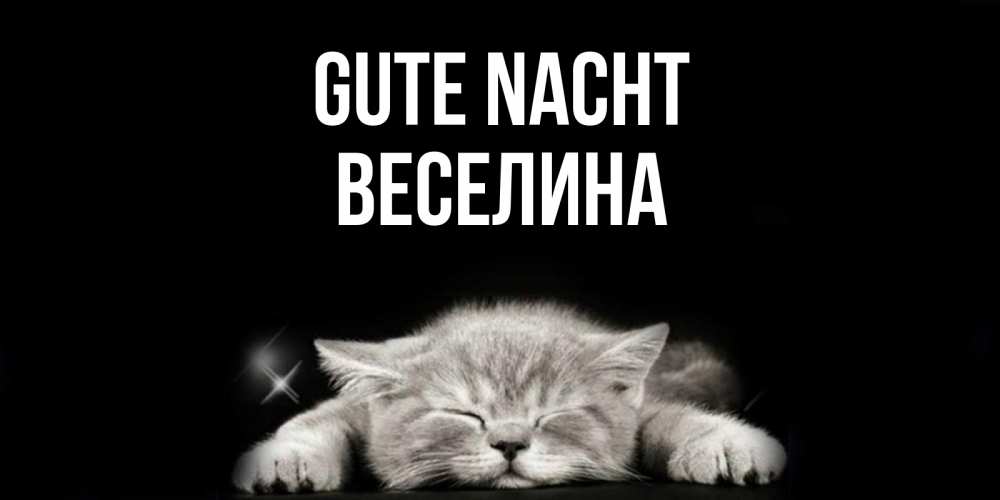Открытка на каждый день с именем, Веселина Gute Nacht спящий котик Прикольная открытка с пожеланием онлайн скачать бесплатно 