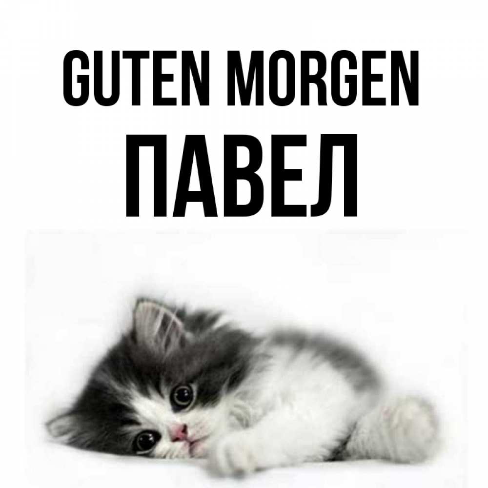Открытка на каждый день с именем, Павел Guten Morgen кот лапки Прикольная открытка с пожеланием онлайн скачать бесплатно 