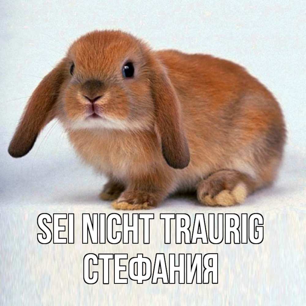 Открытка на каждый день с именем, Стефания Sei nicht traurig рыжий зая Прикольная открытка с пожеланием онлайн скачать бесплатно 