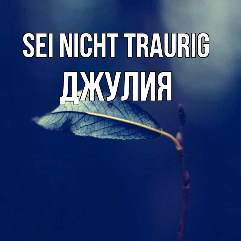 Открытка на каждый день с именем, Джулия Sei nicht traurig растение Прикольная открытка с пожеланием онлайн скачать бесплатно 