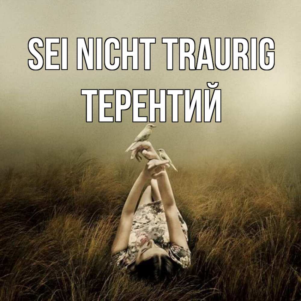 Открытка на каждый день с именем, Терентий Sei nicht traurig поле и туман Прикольная открытка с пожеланием онлайн скачать бесплатно 