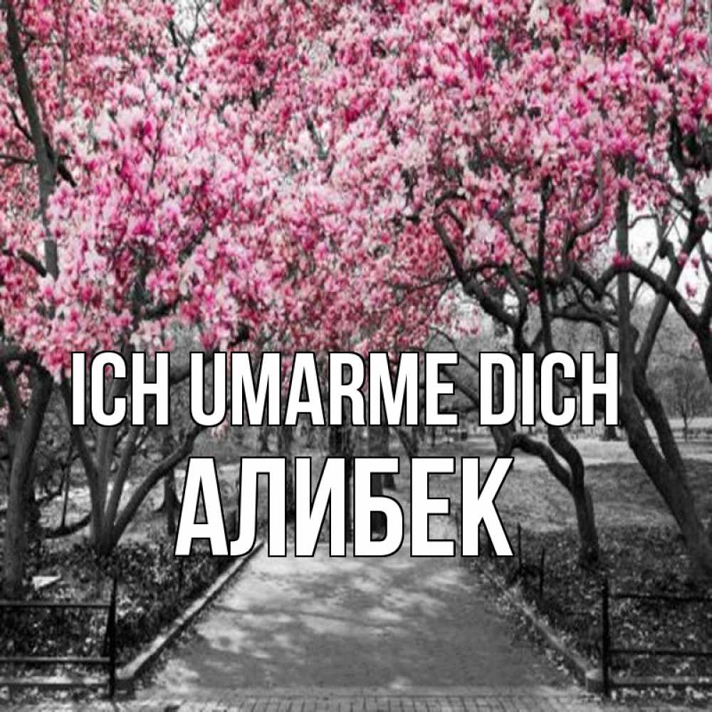 Открытка на каждый день с именем, Алибек Ich umarme dich обработанное фото Прикольная открытка с пожеланием онлайн скачать бесплатно 