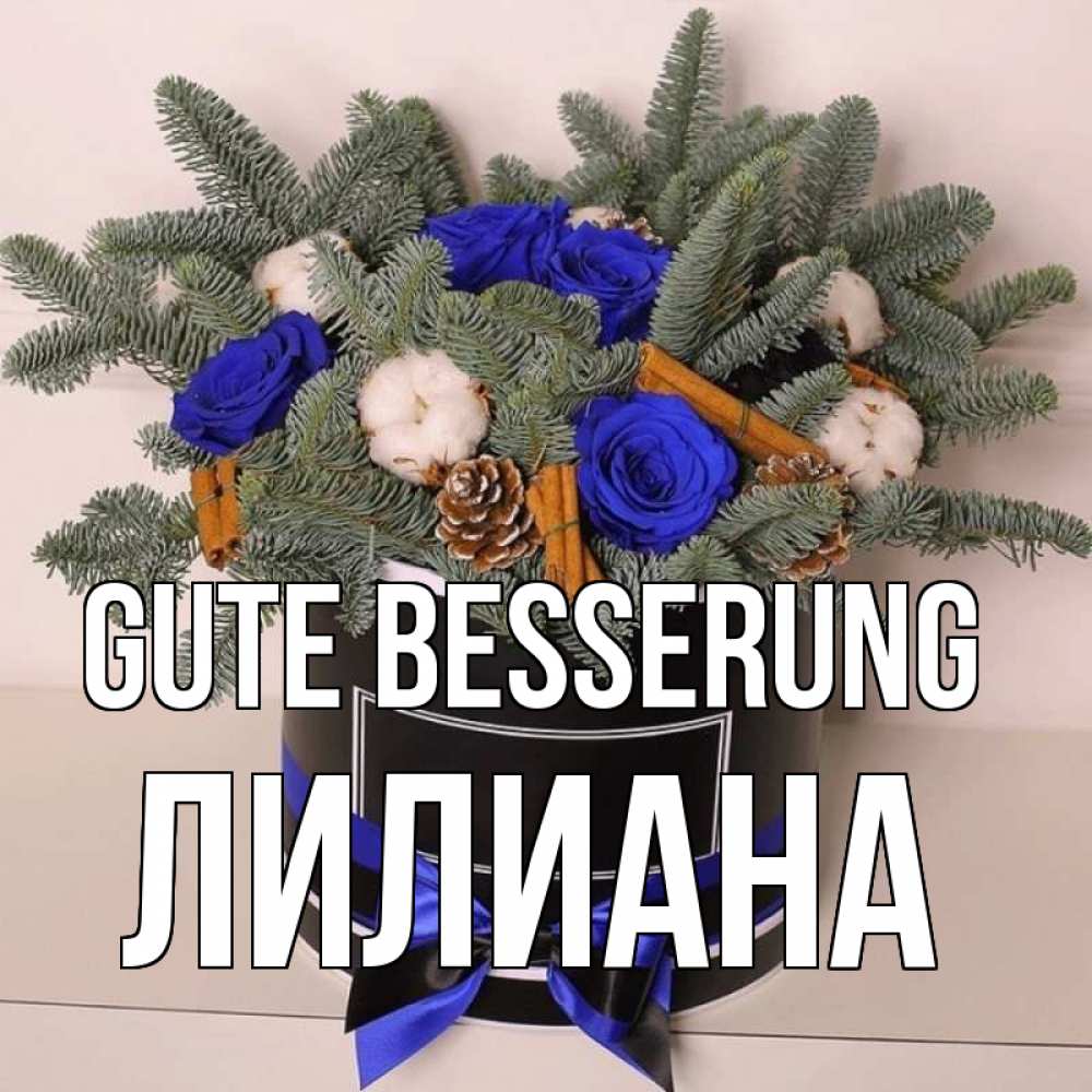 Открытка на каждый день с именем, Лилиана Gute Besserung короче кто то загрузил эти шишки Прикольная открытка с пожеланием онлайн скачать бесплатно 