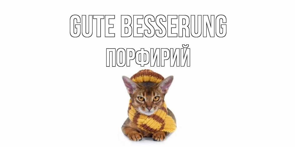 Открытка на каждый день с именем, Порфирий Gute Besserung родные не болейте Прикольная открытка с пожеланием онлайн скачать бесплатно 