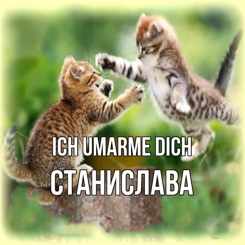 Открытка на каждый день с именем, Станислава Ich umarme dich игры котят Прикольная открытка с пожеланием онлайн скачать бесплатно 