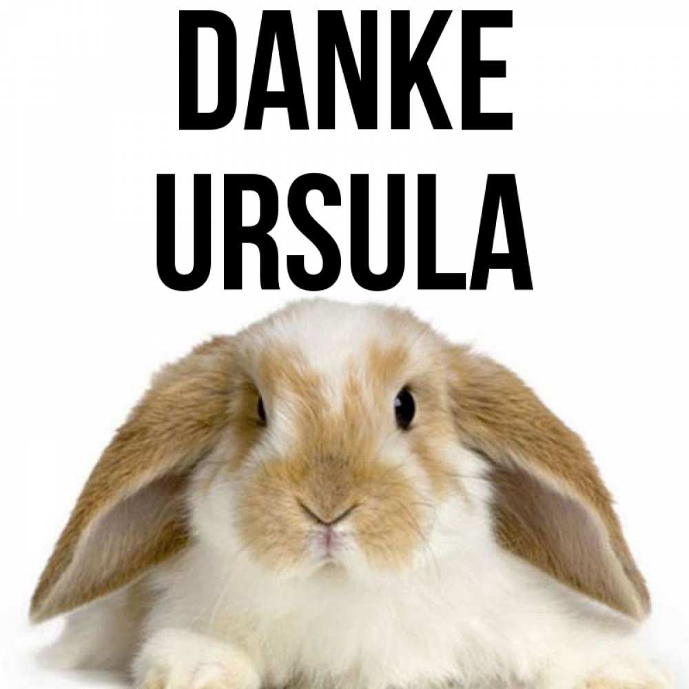 Открытка на каждый день с именем, Ursula Danke коричнево белый заяц Прикольная открытка с пожеланием онлайн скачать бесплатно 