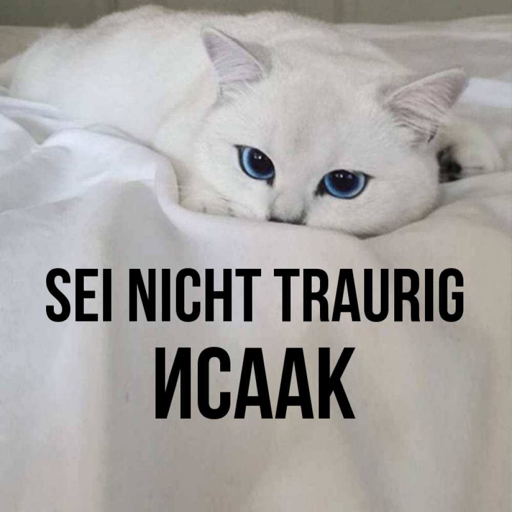 Открытка на каждый день с именем, Исаак Sei nicht traurig Голубоглазая кошка Прикольная открытка с пожеланием онлайн скачать бесплатно 