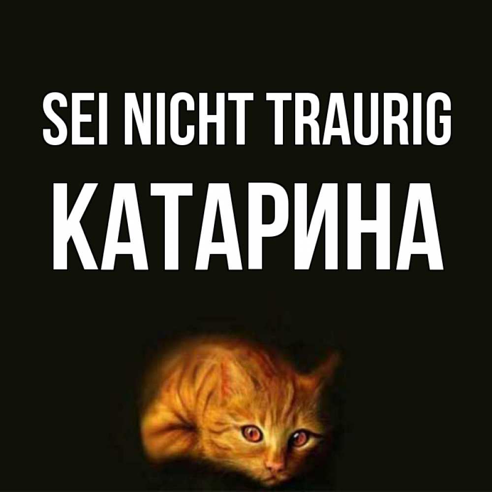 Открытка на каждый день с именем, Катарина Sei nicht traurig лежащий кот в темноте Прикольная открытка с пожеланием онлайн скачать бесплатно 