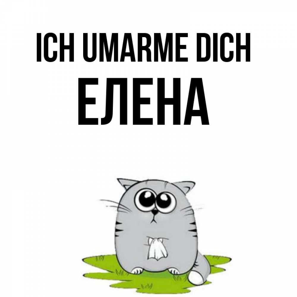 Открытка на каждый день с именем, Елена Ich umarme dich котик теребит платочек сидя на травке Прикольная открытка с пожеланием онлайн скачать бесплатно 
