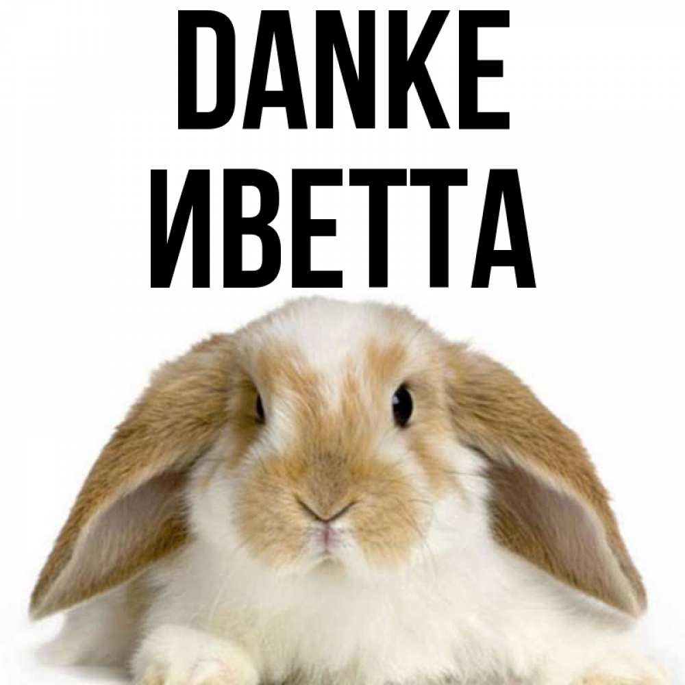 Открытка на каждый день с именем, Иветта Danke коричнево белый заяц Прикольная открытка с пожеланием онлайн скачать бесплатно 