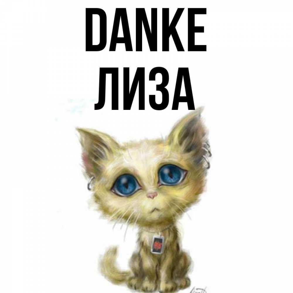 Открытка на каждый день с именем, Лиза Danke рисованный кот благодарит вас Прикольная открытка с пожеланием онлайн скачать бесплатно 