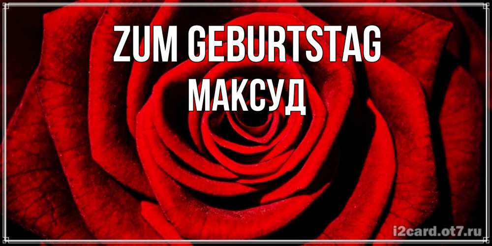 Открытка на каждый день с именем, Максуд Zum Geburtstag алая роза Прикольная открытка с пожеланием онлайн скачать бесплатно 