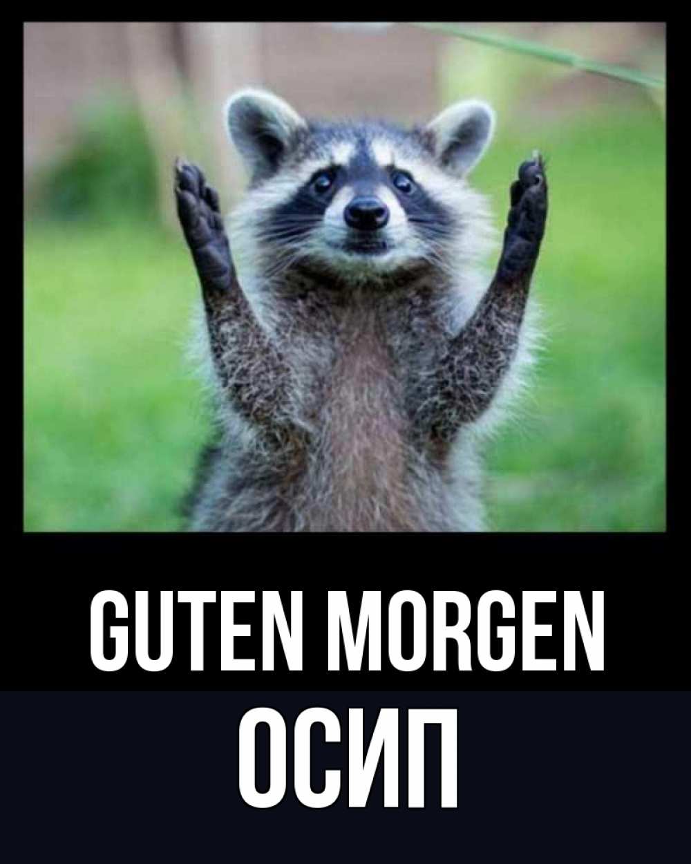 Открытка на каждый день с именем, Осип Guten Morgen хорошее настроение утречком Прикольная открытка с пожеланием онлайн скачать бесплатно 