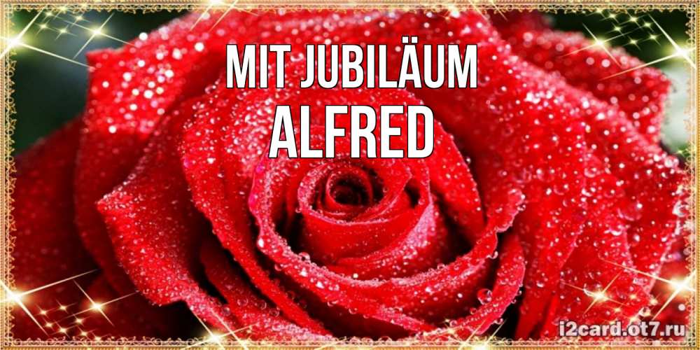 Открытка на каждый день с именем, Alfred Mit Jubiläum роса и роза. открытка с красивой розой Прикольная открытка с пожеланием онлайн скачать бесплатно 