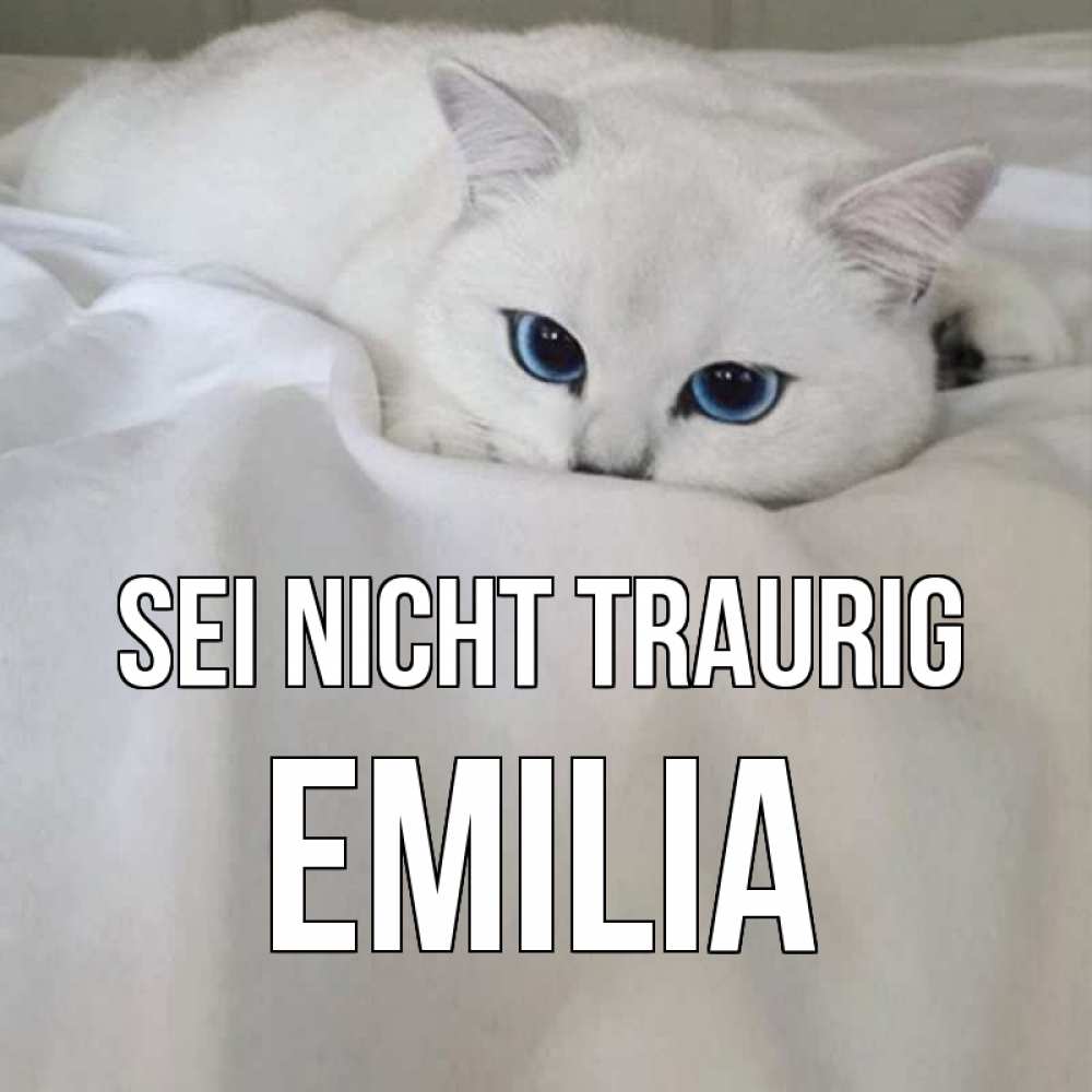 Открытка на каждый день с именем, Emilia Sei nicht traurig белый кот с голубыми глазами на белоснежной кровати Прикольная открытка с пожеланием онлайн скачать бесплатно 