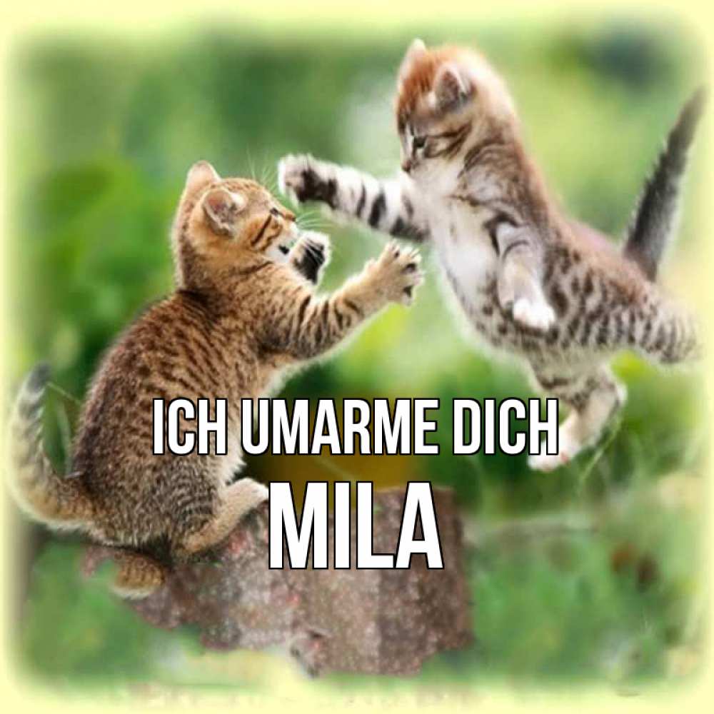 Открытка на каждый день с именем, Mila Ich umarme dich игры котят Прикольная открытка с пожеланием онлайн скачать бесплатно 