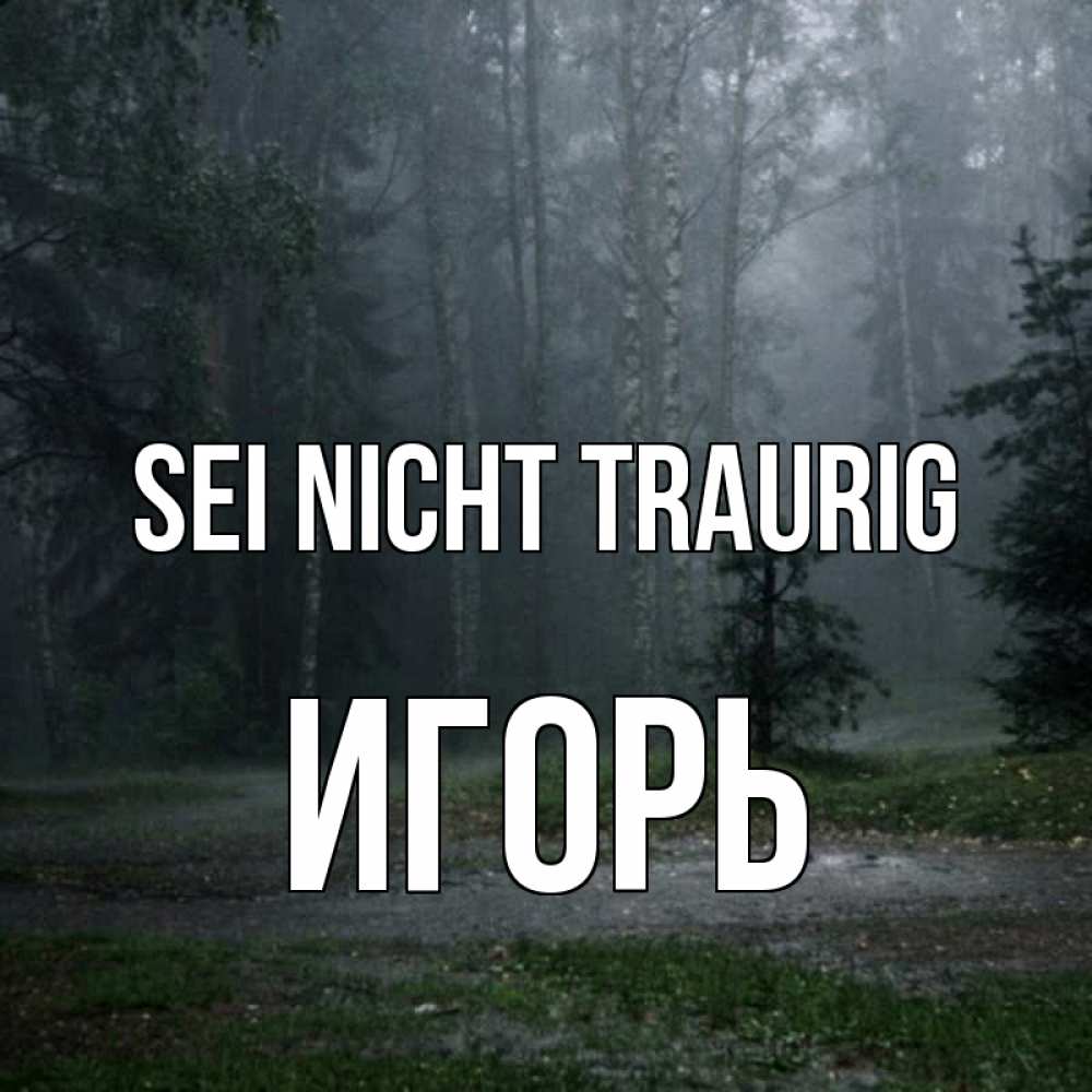 Открытка на каждый день с именем, Игорь Sei nicht traurig осень Прикольная открытка с пожеланием онлайн скачать бесплатно 