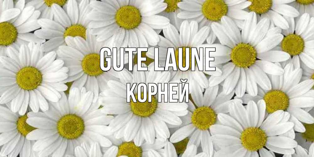 Открытка на каждый день с именем, Корней Gute Laune поляна ромашек Прикольная открытка с пожеланием онлайн скачать бесплатно 