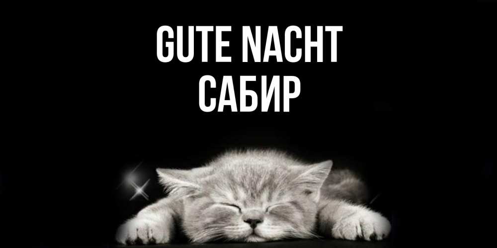 Открытка на каждый день с именем, Сабир Gute Nacht спящий котик Прикольная открытка с пожеланием онлайн скачать бесплатно 