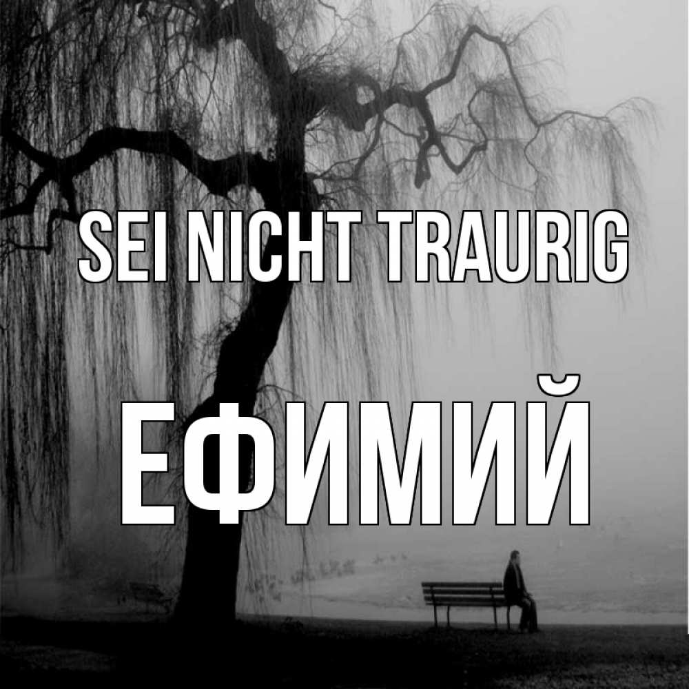 Открытка на каждый день с именем, Ефимий Sei nicht traurig висящие ветки дерева и лавочка под деревом Прикольная открытка с пожеланием онлайн скачать бесплатно 