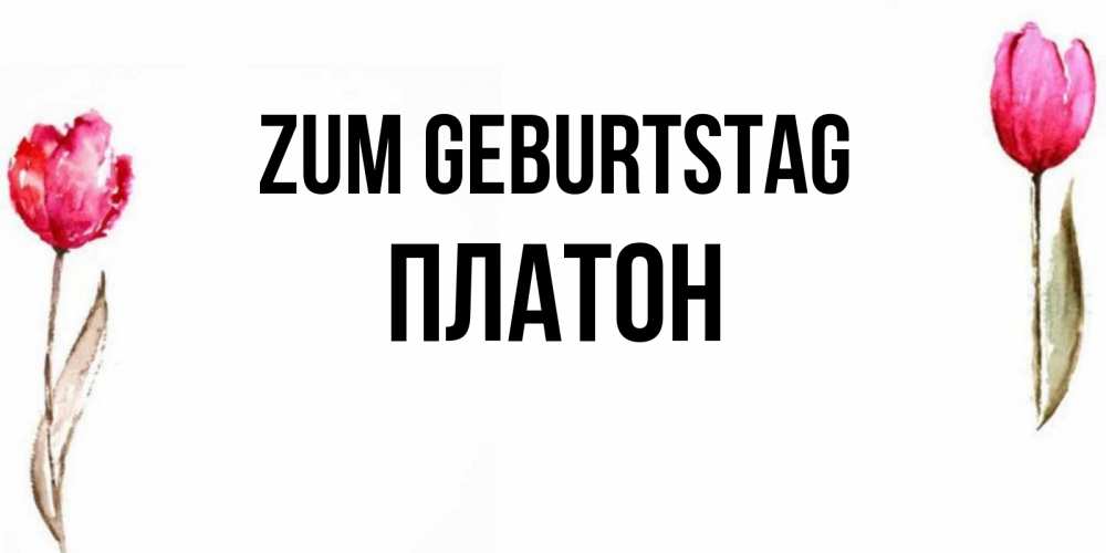 Картинка Zum Geburtstag, Платон
