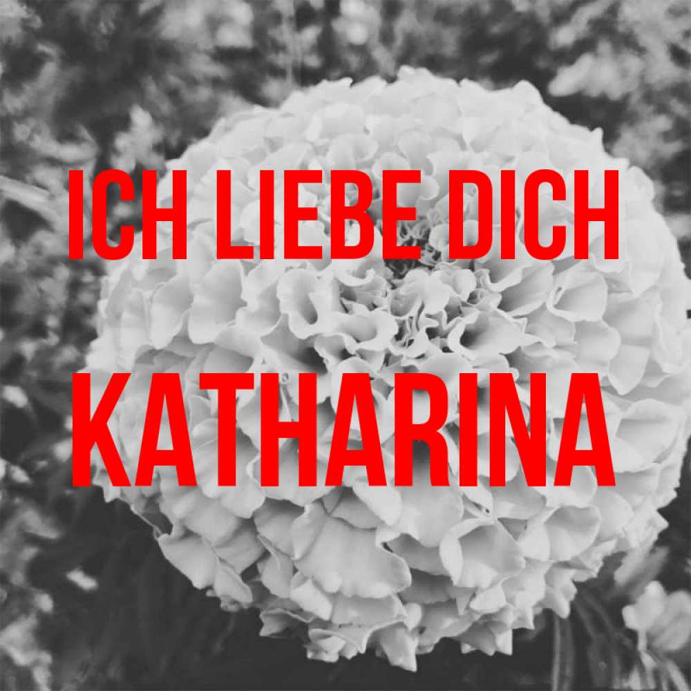 Открытка на каждый день с именем, Katharina Ich liebe dich подпись Прикольная открытка с пожеланием онлайн скачать бесплатно 