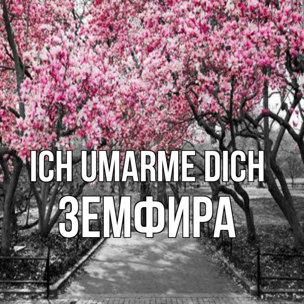 Открытка на каждый день с именем, Земфира Ich umarme dich обработанное фото Прикольная открытка с пожеланием онлайн скачать бесплатно 