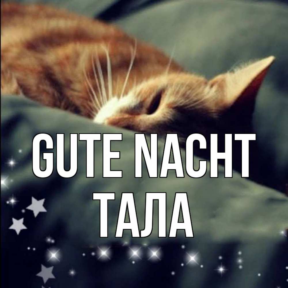 Открытка на каждый день с именем, Тала Gute Nacht кроватка Прикольная открытка с пожеланием онлайн скачать бесплатно 