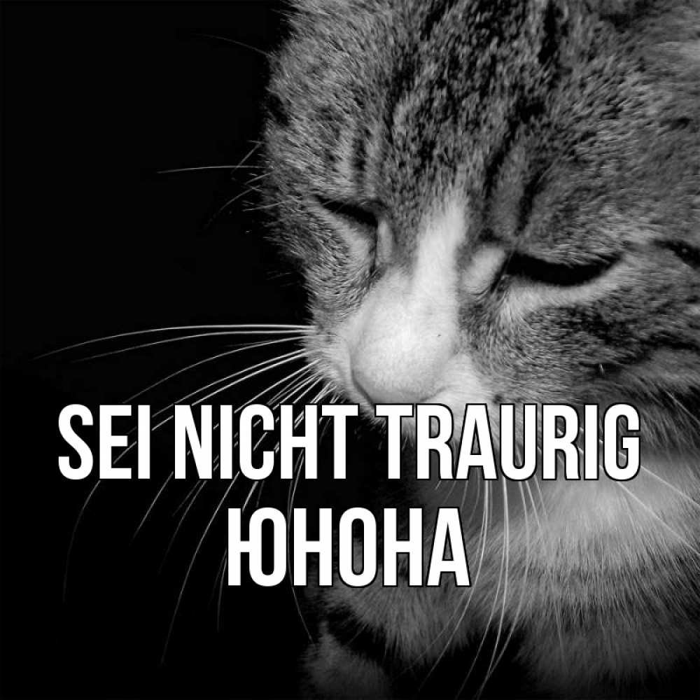 Открытка на каждый день с именем, Юнона Sei nicht traurig грустный котик Прикольная открытка с пожеланием онлайн скачать бесплатно 