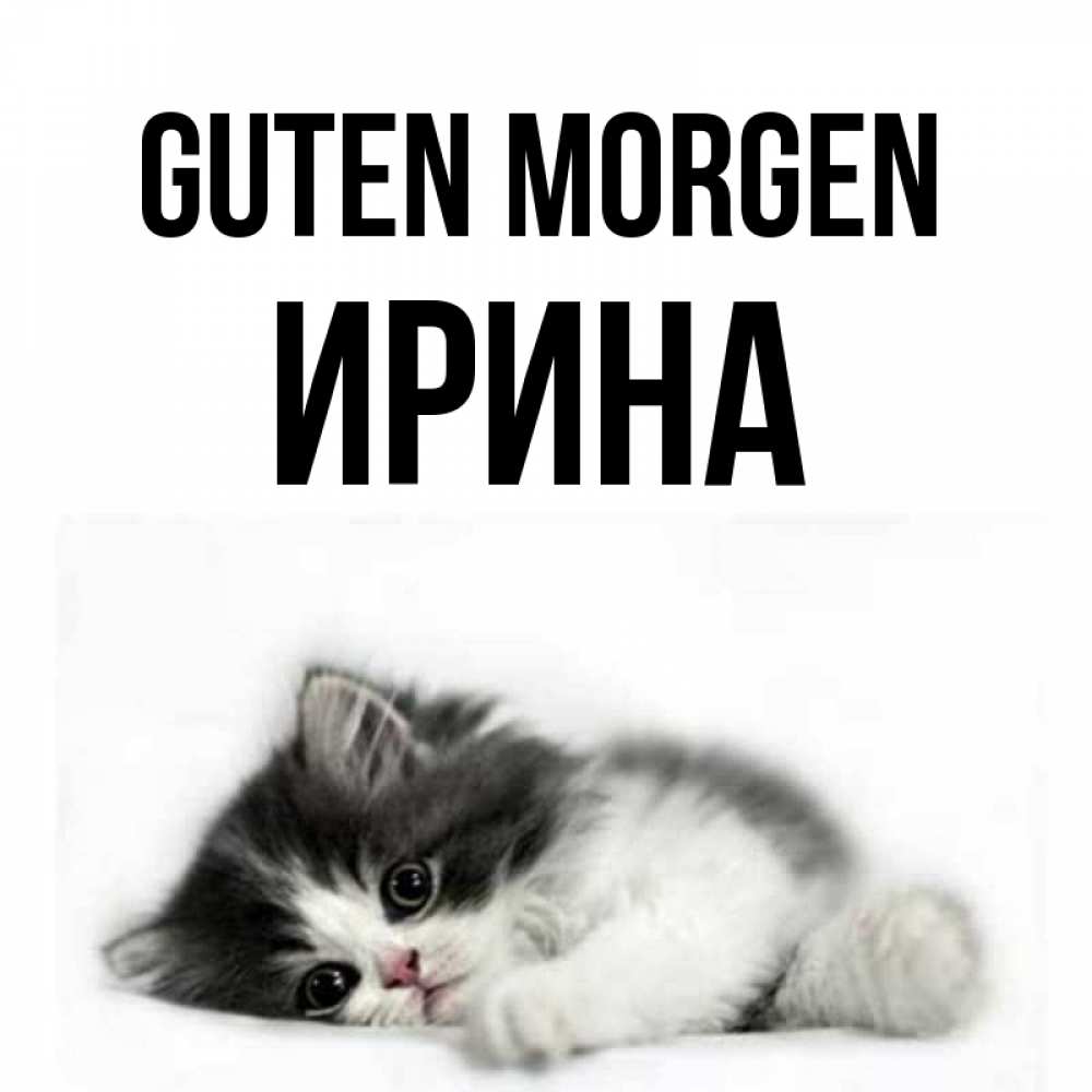 Открытка на каждый день с именем, Ирина Guten Morgen кот лапки Прикольная открытка с пожеланием онлайн скачать бесплатно 