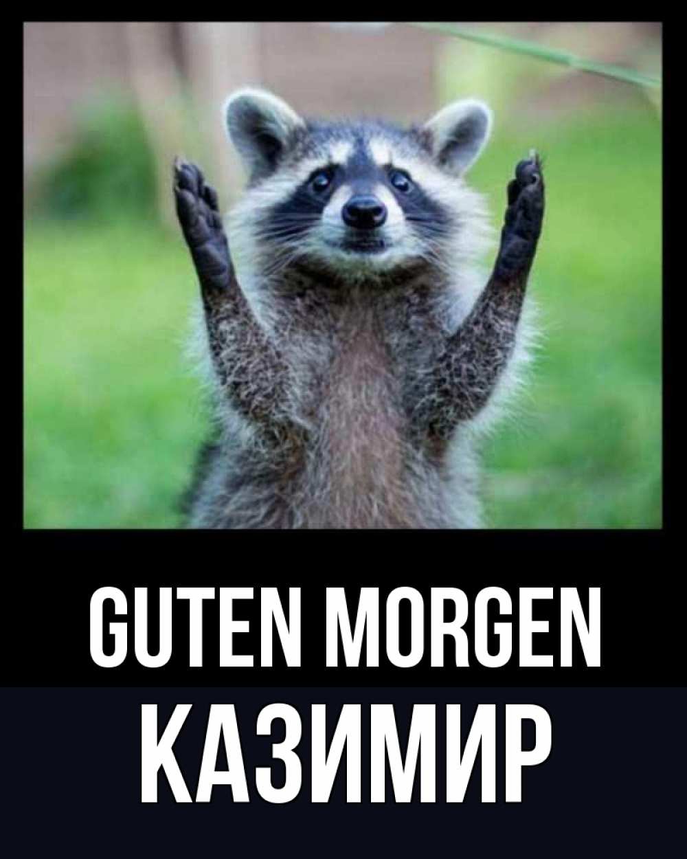 Открытка на каждый день с именем, Казимир Guten Morgen хорошее настроение утречком Прикольная открытка с пожеланием онлайн скачать бесплатно 