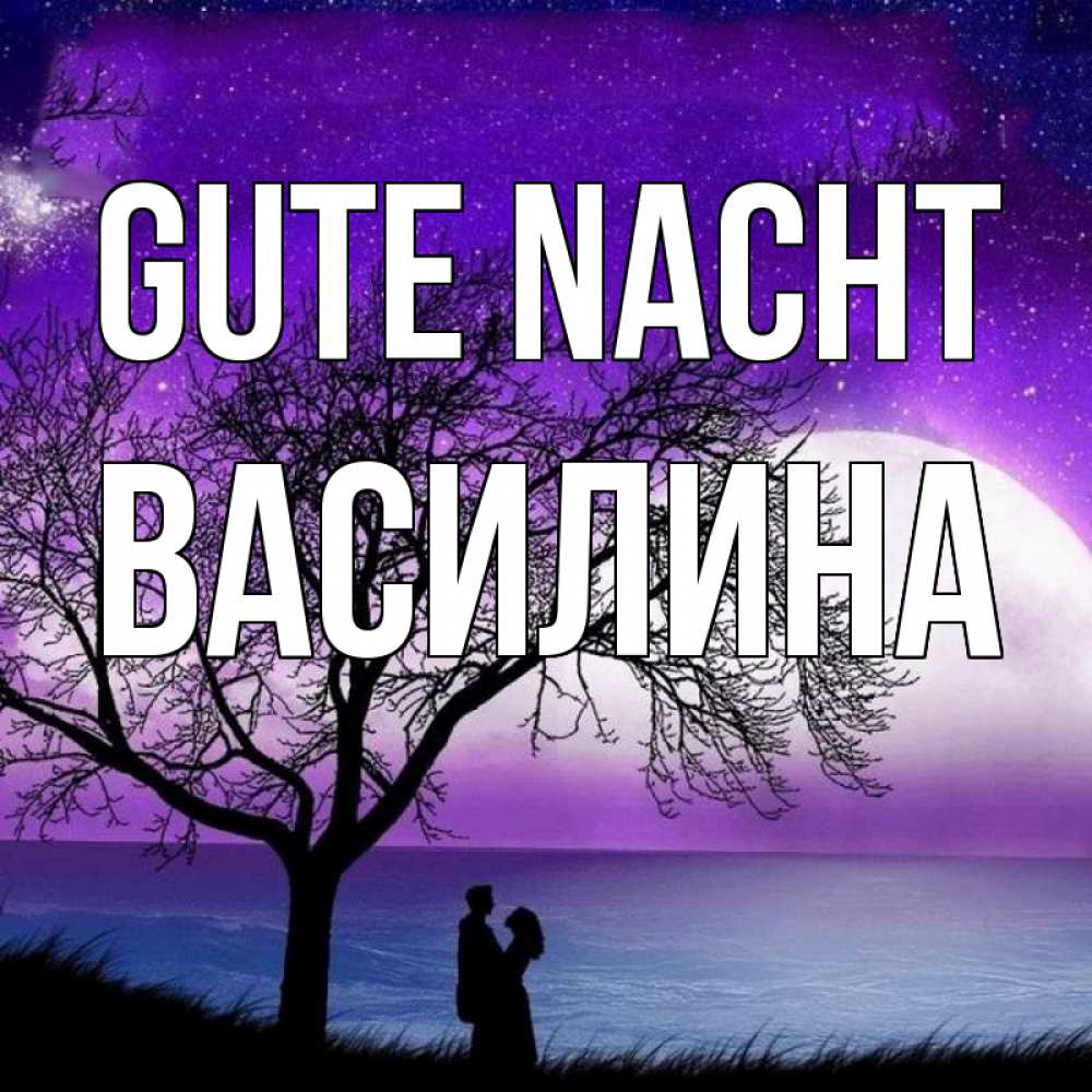 Открытка на каждый день с именем, Василина Gute Nacht огромная луна и парочка Прикольная открытка с пожеланием онлайн скачать бесплатно 